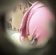 A daring cameraman secretly records women using a public restroom at a shopping mall through a hole in the wall of an adjoining stall. Nice sounds! Audio is very clear, but video is a bit shaky. No poop action is actually visible. About 19 minutes.